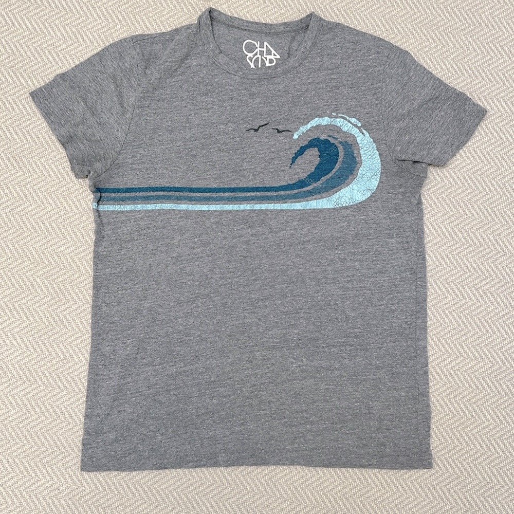 CHASER Waves T-Shirt in Heather Grey